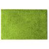 FLOORDIREKT Schmutzfangmatte Domenico - Robust & Rutschfest - Limone - 50 x 80 cm
