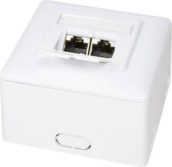 LogiLink Netzwerkdose Aufputz CAT 6 2 Port Weiß
