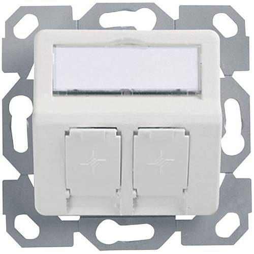 Telegärtner Netzwerkdose Unterputz Einsatz mit Zentralplatte Unbestückt 2 Port Alpinweiß