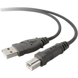Image of Belkin USB-Kabel USB 2.0 USB-A Stecker, USB-B Stecker 3.00 m Schwarz vergoldete Steckkontakte, UL-zertifiziert