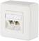 Weiße Doppel-Netzwerkdose zur Wandmontage, mit zwei Ethernet-Ports und Abdeckung. Geeignet für Büro- oder Heimnetzwerke.