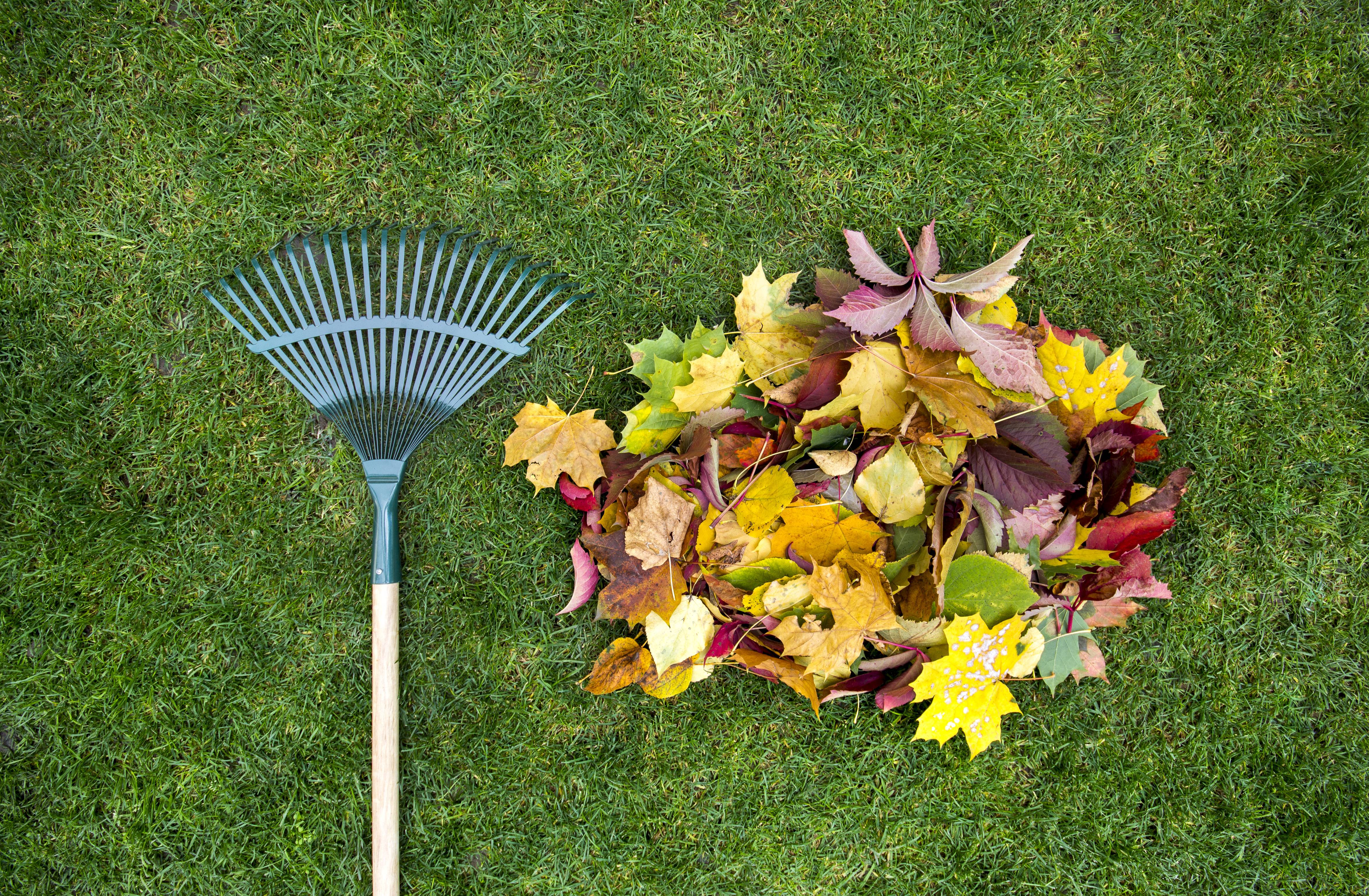 Auch für die Aufbewahrung von Gartengeräten sind Lochwände geeignet