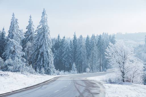 Kalter, blauer Wintermorgen mit Nebel