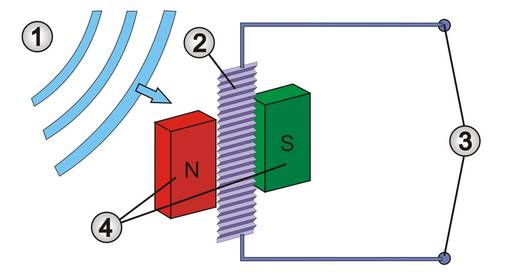 Schematische Darstellung eines Bändchenmikrofons