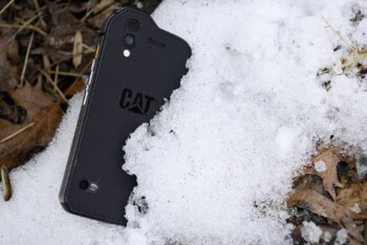 Ein Outdoor-Smartphone der Marke CAT steckt in Schnee, der auf Laub liegt.
