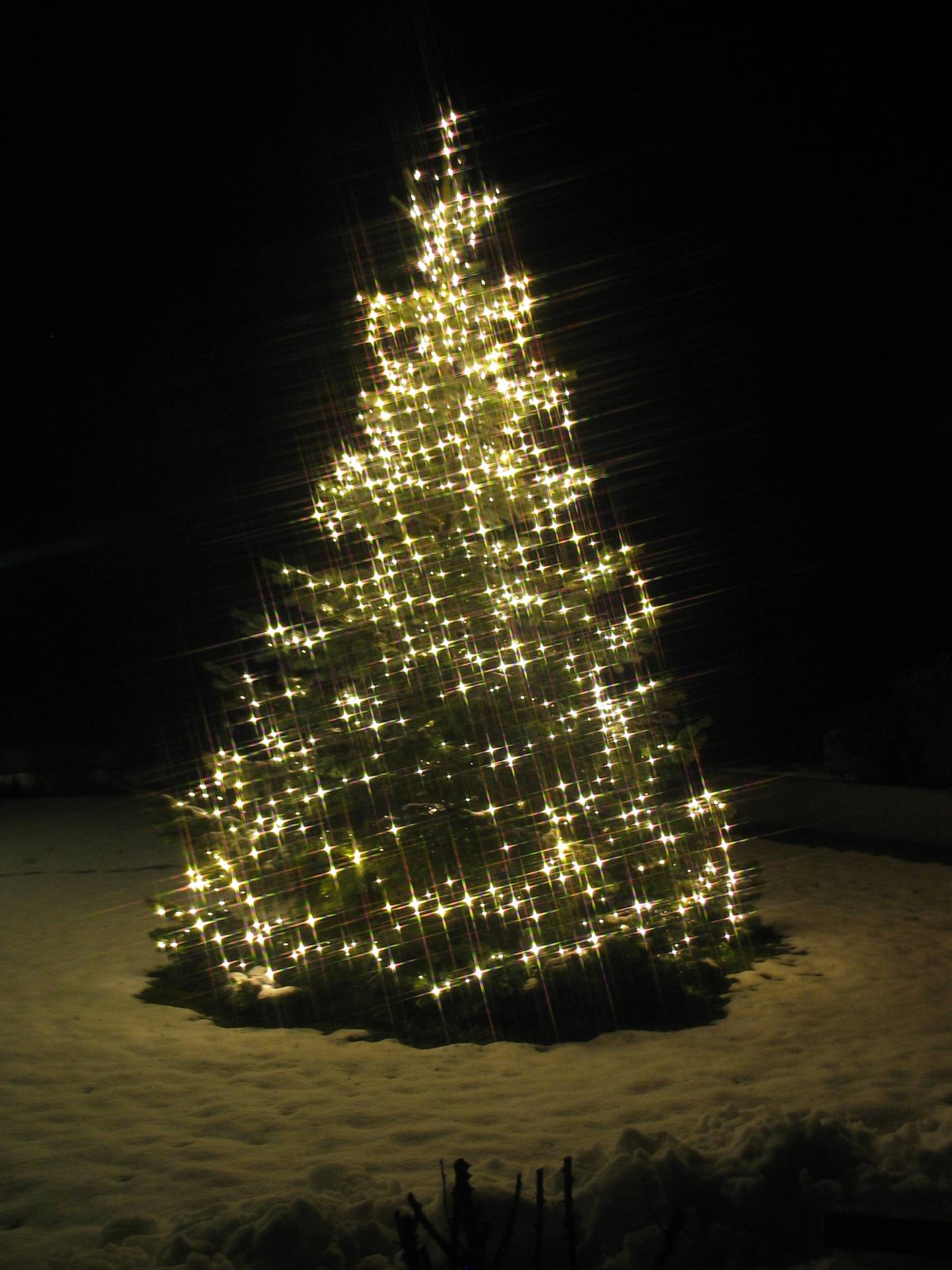 Christbaum mit LED-Lichterketten