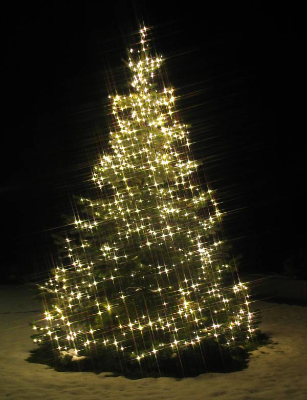 Christbaum mit LED-Beleuchtung