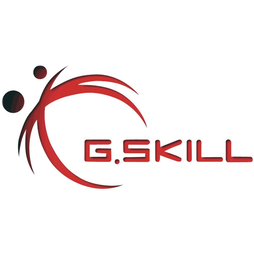 G-SKILL Geheugen voor desktops Computers & Accessoires Component Geheugen voor desktops Geheugen voo