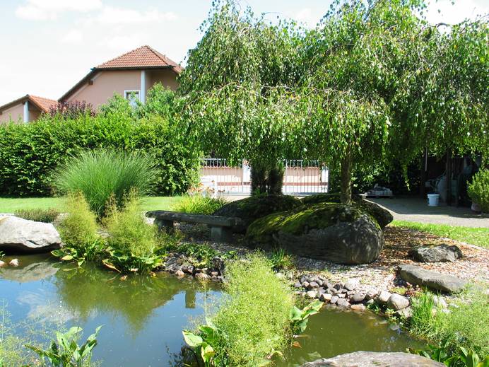 Bassin de jardin dans la verdure