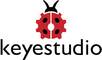 Keyestudio