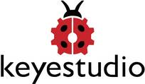 Keyestudio