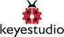 Keyestudio