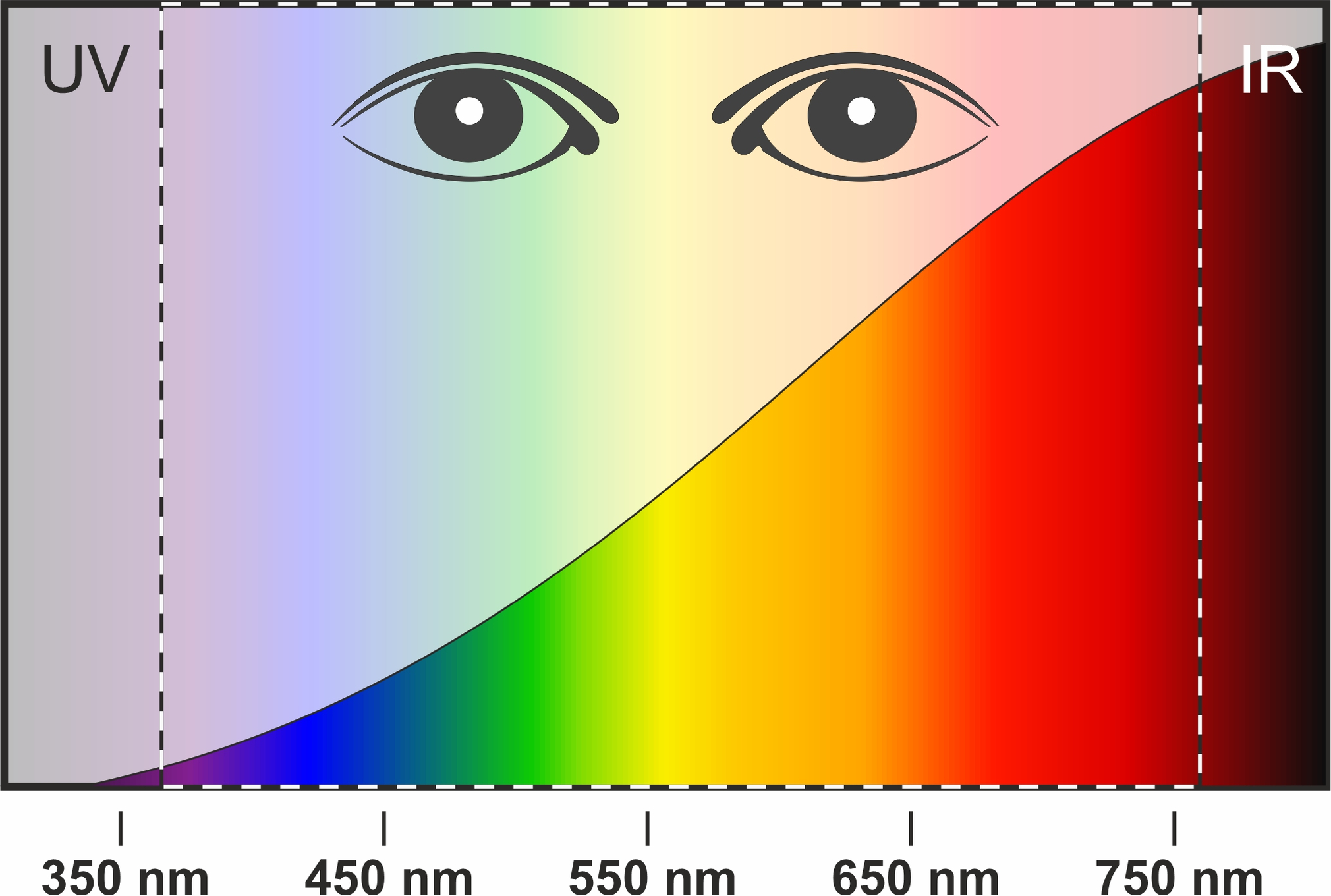 Lichtspektrum einer Glüh-/Halogenlampe