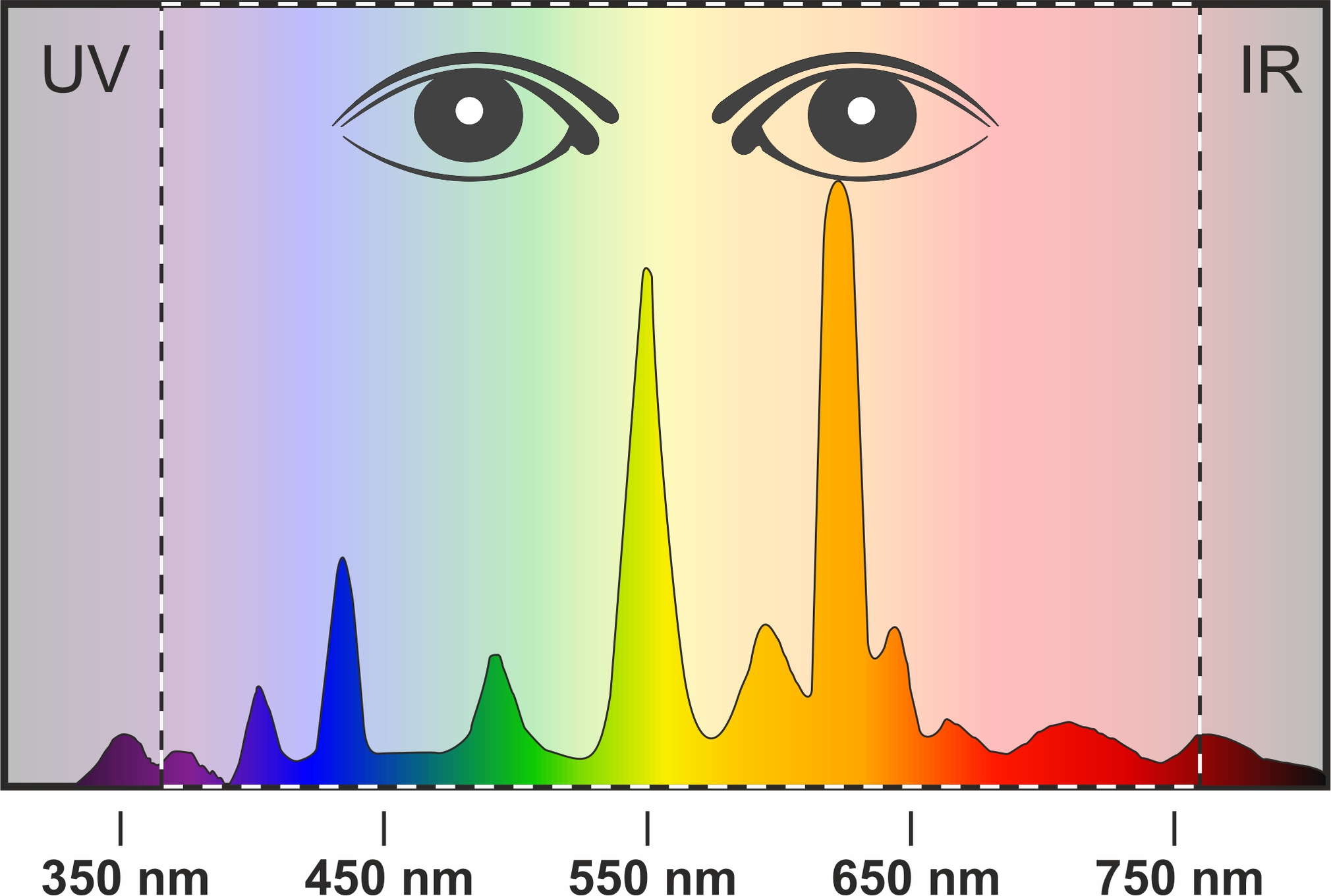 Lichtspektrum einer Leuchtstofflampe