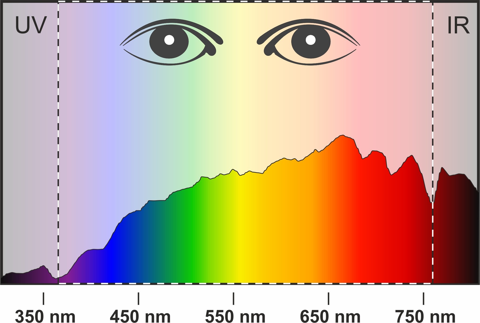 Lichtspektrum Tageslicht am Morgen/Abend
