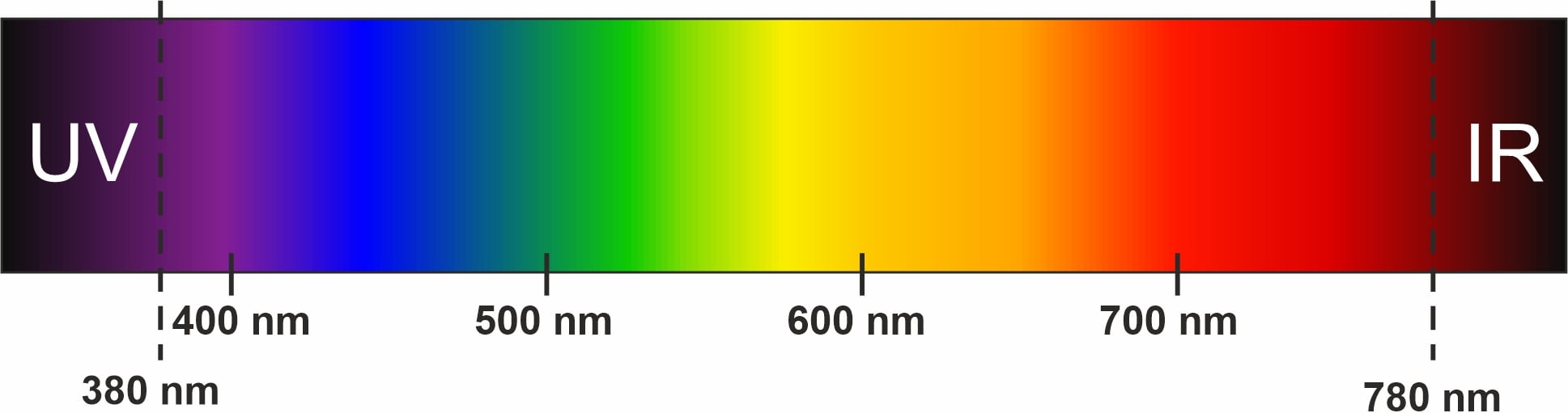 Spektrum des sichtbaren Lichtes