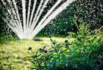 Arrosage des espaces verts