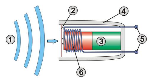 Schematische Darstellung eines Tauchspulenmikrofons