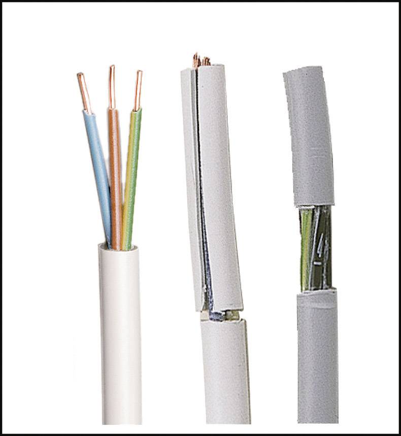 Mehradrige elektrische Kabel in Nahaufnahme, links freiliegende Kupferdrähte, rechts mit Isolierung, in neutralem Hintergrund.