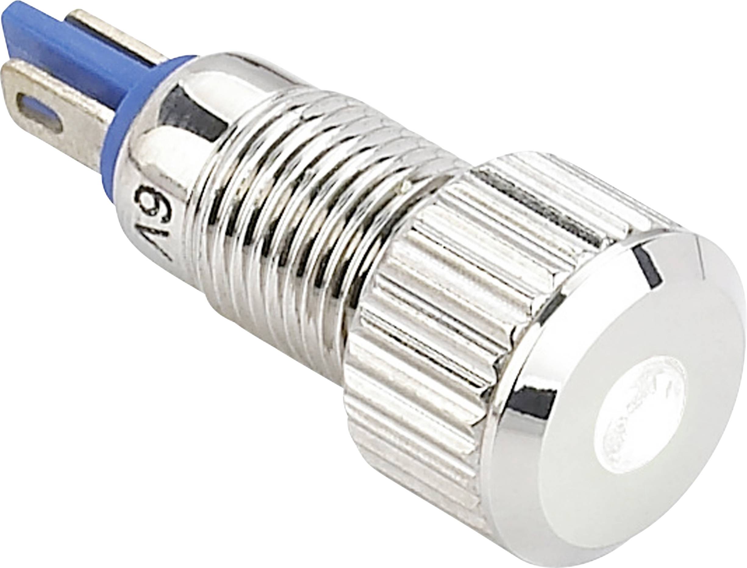 TRU COMPONENTS GQ8F-D/W/24V/N LED indicator light White 24 V DC, 24 V AC