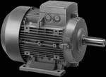 Rotary current cage rotor induction motor (B3 design)