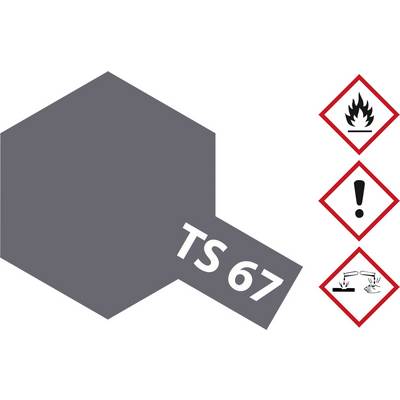 Grey hexagon with inscription 'TS 67'. Right: Pictograms for 'flammable', 'warning' and 'corrosive' in red diamonds.