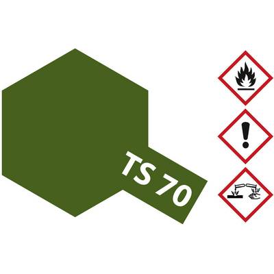 An olive green shade called 'TS 70' with symbols: Flame (highly flammable), Exclamation mark (caution), Chemical reaction (corrosive).