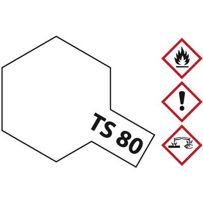 Chemical bottle with label 'TS 80', flanked by hazard symbols for flammability, health hazard, and corrosion.
