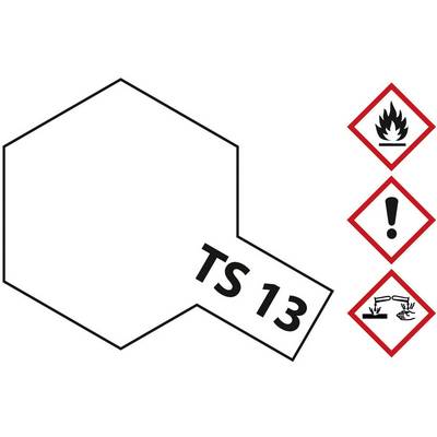 A hexagonal sign with the inscription 'TS 13' and three hazard symbols: flame, exclamation mark, and corrosive substance to the right.