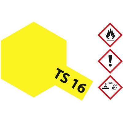 Yellow label with the inscription 'TS 16' and hazard symbols: Fire, Exclamation Mark, Corrosive Substances. Warns of chemical hazards.