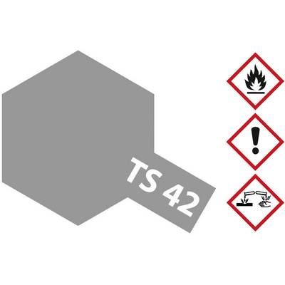 'Triangular safety signs on the right: Flame, Exclamation Mark, Corrosive. Grey hexagon on the left with "TS 42".'
