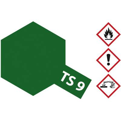 Green hexagon with 'TS 9'. Three safety symbols: Flame, Exclamation Mark, Corrosive. Indications for danger and caution.