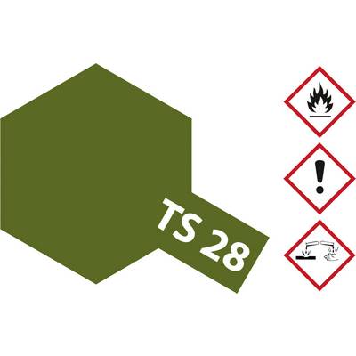 Hexagonal olive-green colour sample with the inscription 'TS 28'. To the right, three hazard symbols: Flammable, Warning, Corrosive.