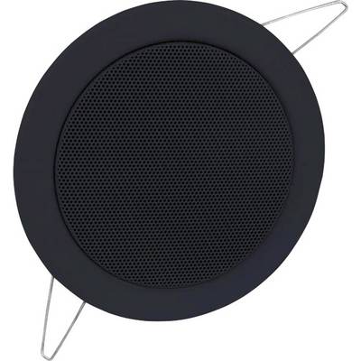 A black, round speaker with a metal frame is shown.