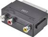 SpeaKa Professional SP-7869904 RCA / SCART Adapter [3x RCA socket (phono) - 1x SCART plug] Black