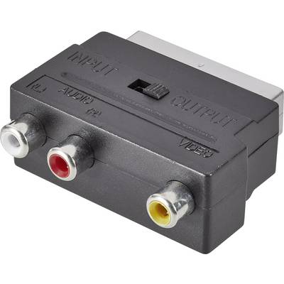 A SCART adapter with three RCA sockets, labelled as 'AUDIO (R)', 'AUDIO (L)', and 'VIDEO'. 'INPUT' and 'OUTPUT' are marked at the top.