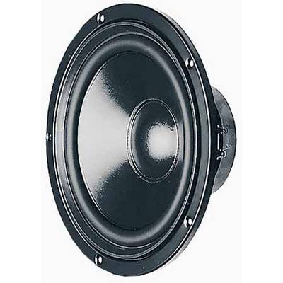 Speaker, close-up of a black speaker membrane in a metal frame.