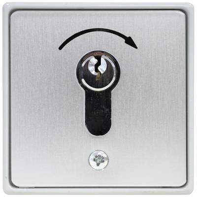 Kaiser Nienhaus 322700  Door opener key switch   Flush mount