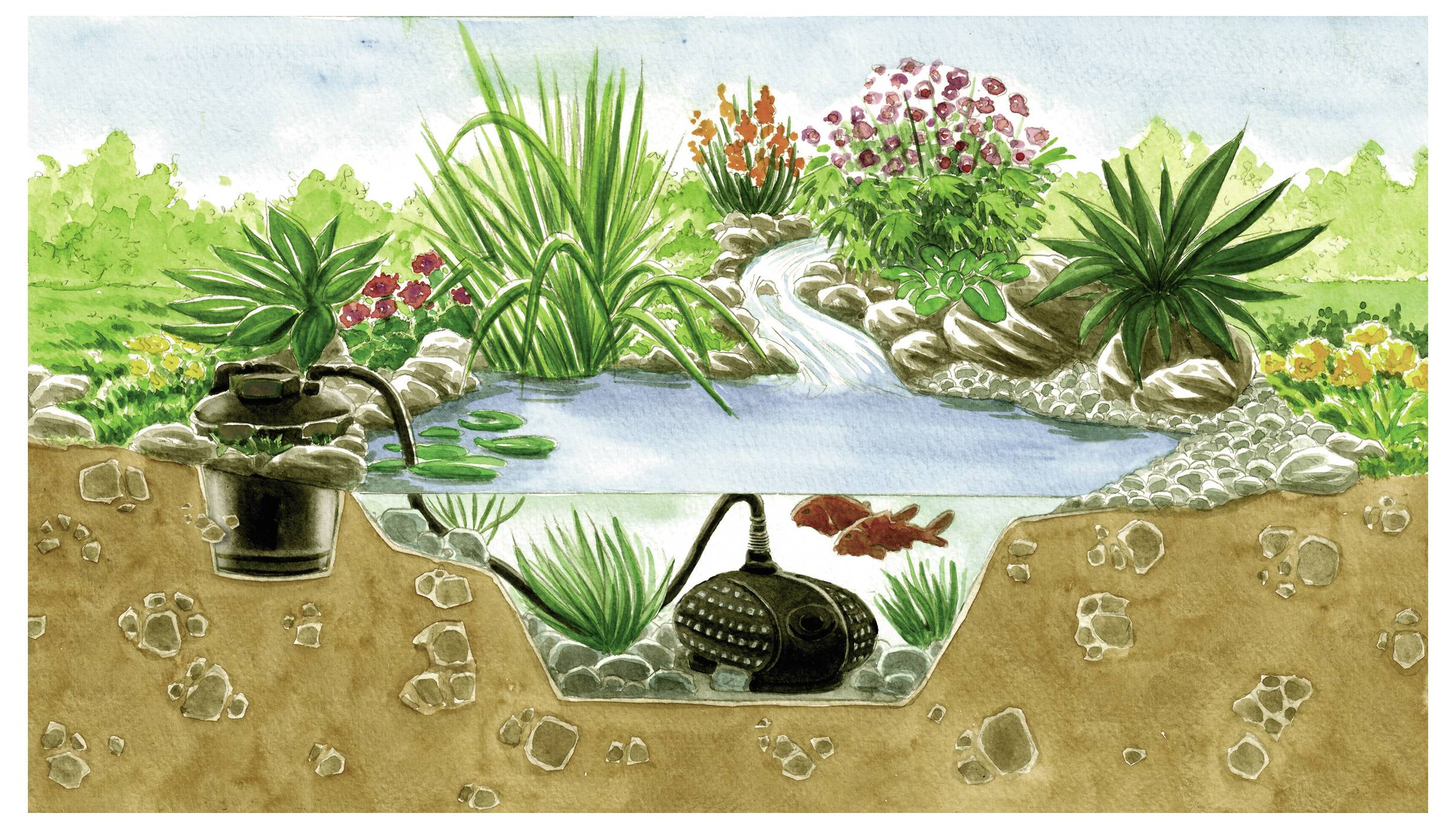 A cross-section of a garden pond with a pump. Fish swim in clear water surrounded by rocks, plants, and a small waterfall in lush greenery.
