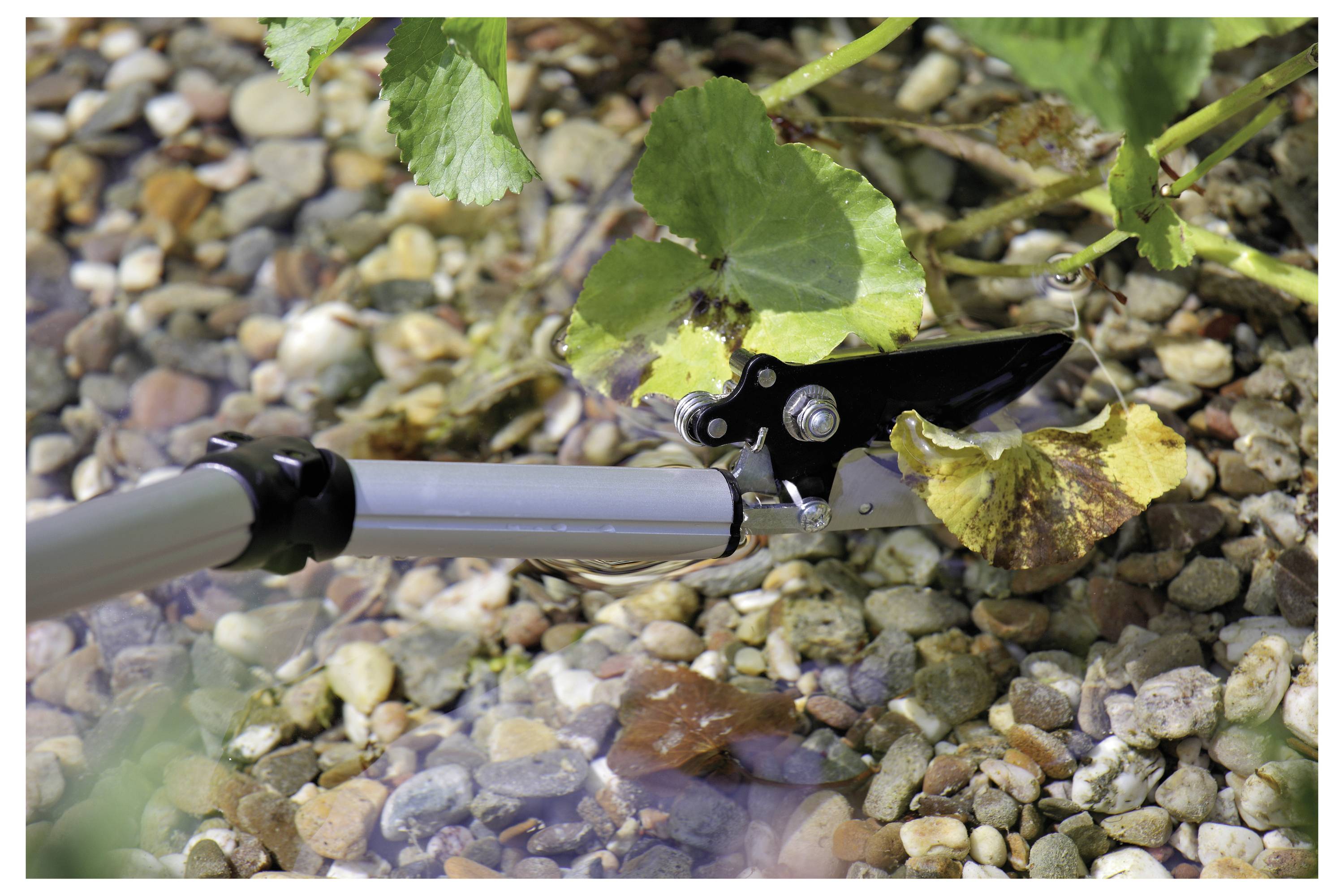 Pruning shears on a long handle cutting leaves in a shallow, rocky pond, among green and yellow foliage.