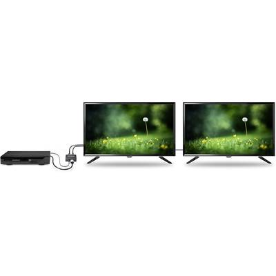 Two monitors display an identical green nature scene with flowers and dandelions. A device on the left connects to the monitors via cables.