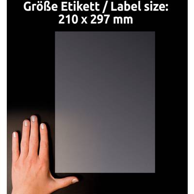 A hand is comparing the size of a label with dimensions of 210 x 297 mm.