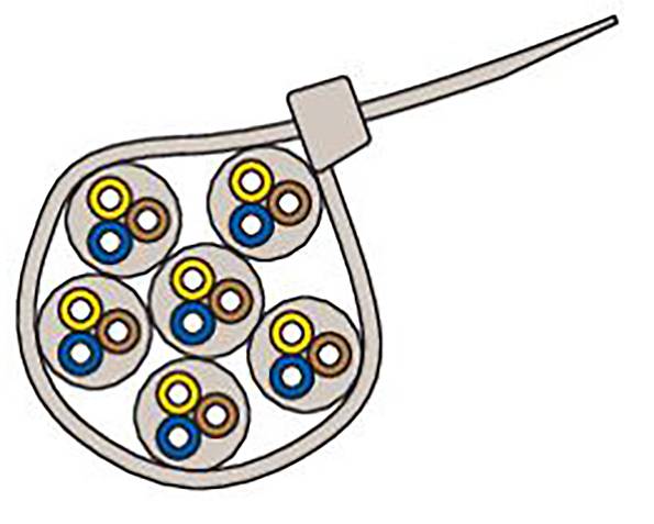 Diagram of an electrical cable with coiled wires in various colours, depicted within a transparent sheathing.