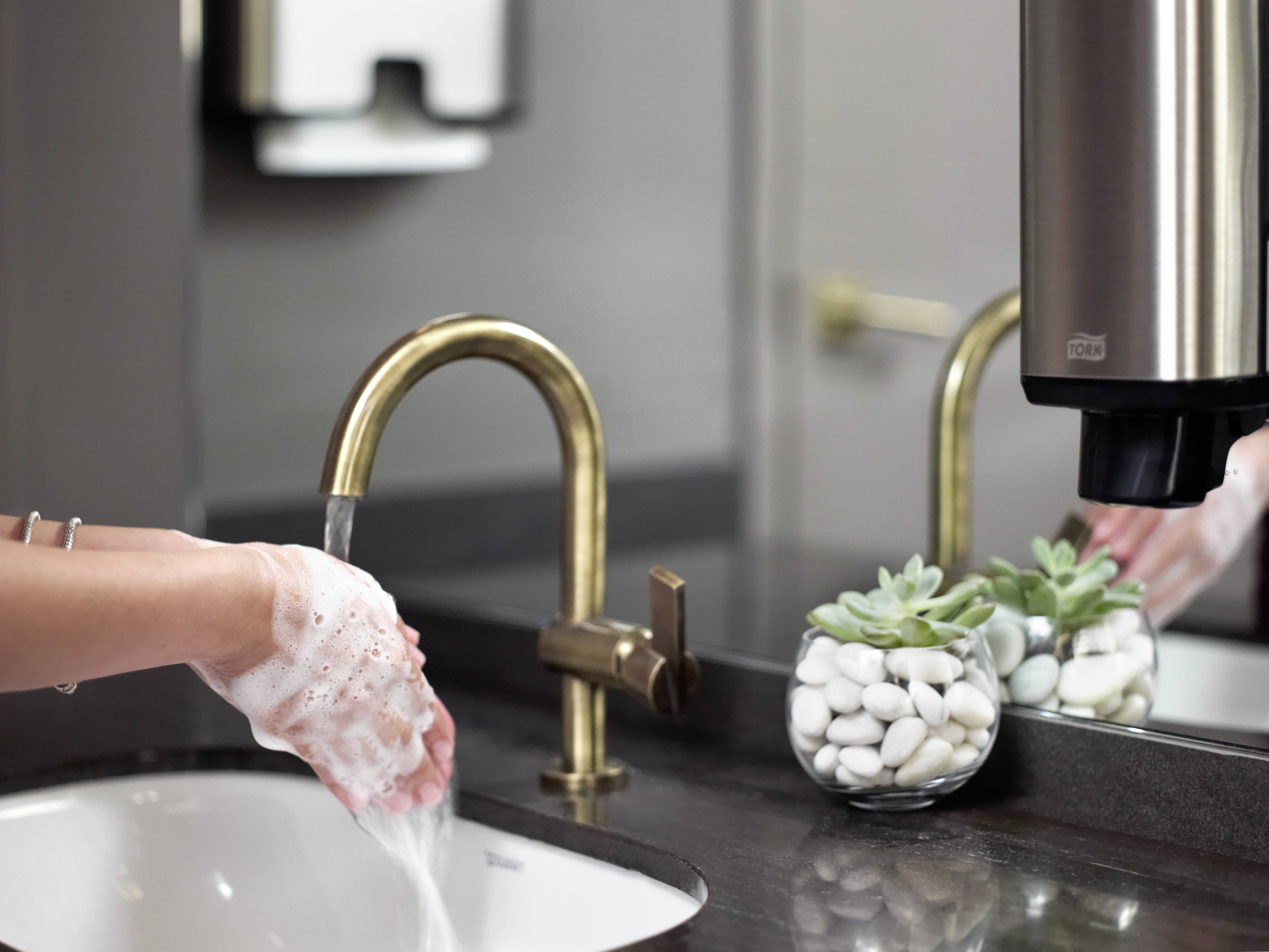 A person is washing their hands with soap in a modern sink. A dish with succulents sits on the edge of the sink.