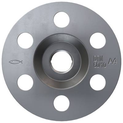 Gray metal pipe flange with six bolt holes and central opening, marked 'DIN 60/10 A4' and a fish symbol.<br>