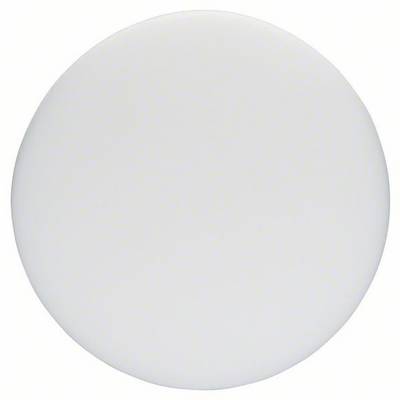 A simple, white circle on a neutral background.
