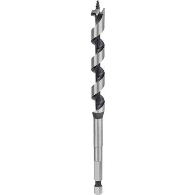 Steel snake drill with a sharp point and spiral design for woodworking.