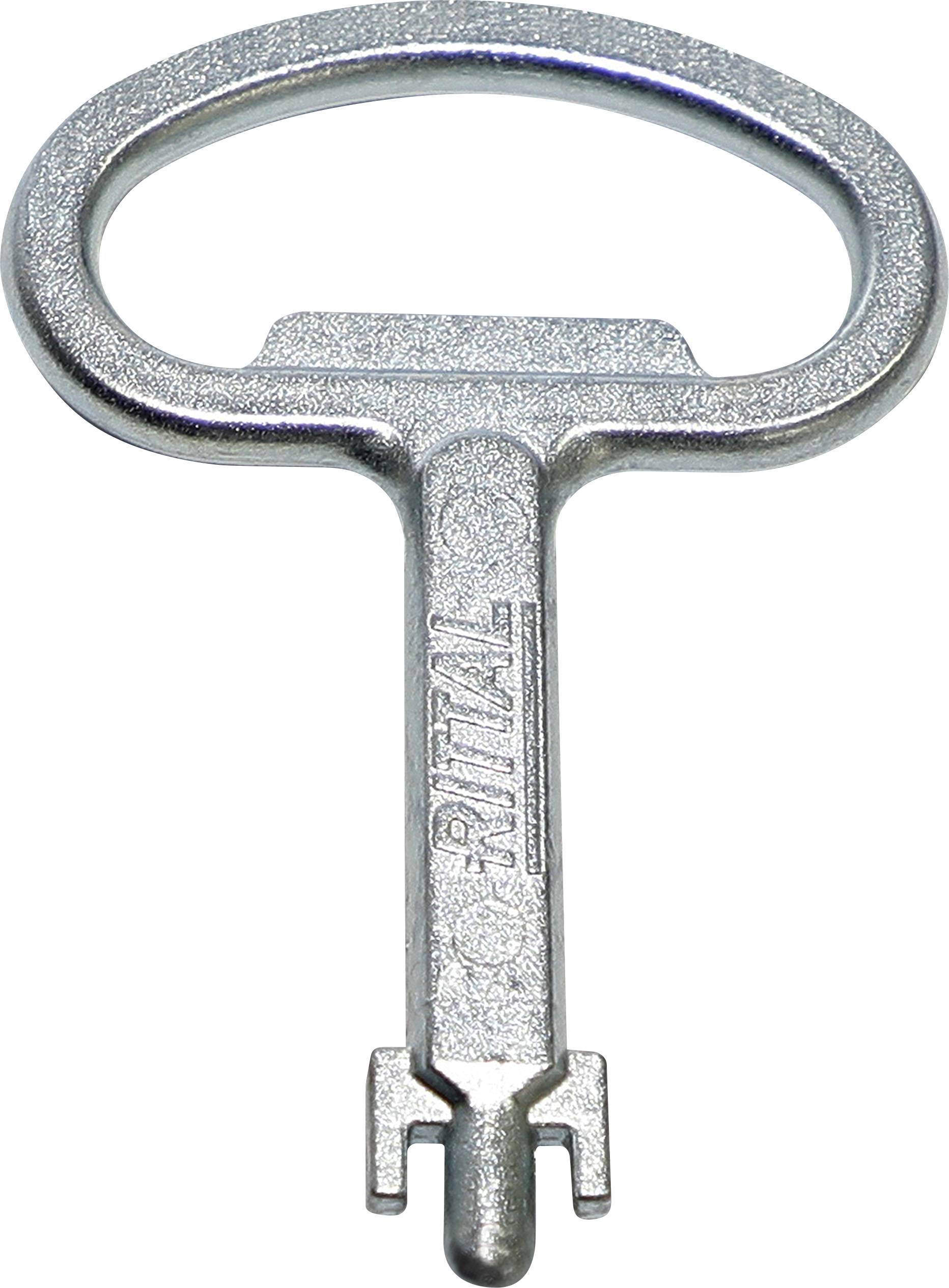 Rittal SZ 2308.000 Switchboard key Fiat Steel 1 pc(s)