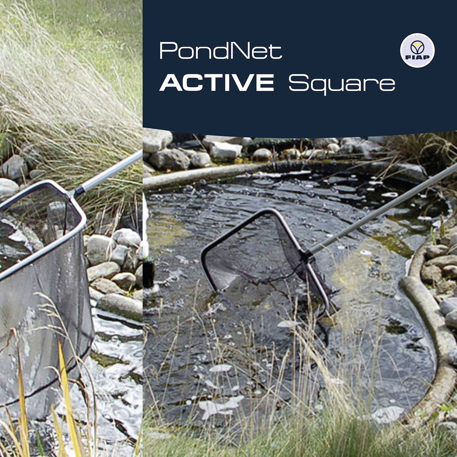 A net is being used in a pond bordered with stones. Grass plants are visible on the left-hand side of the edge.