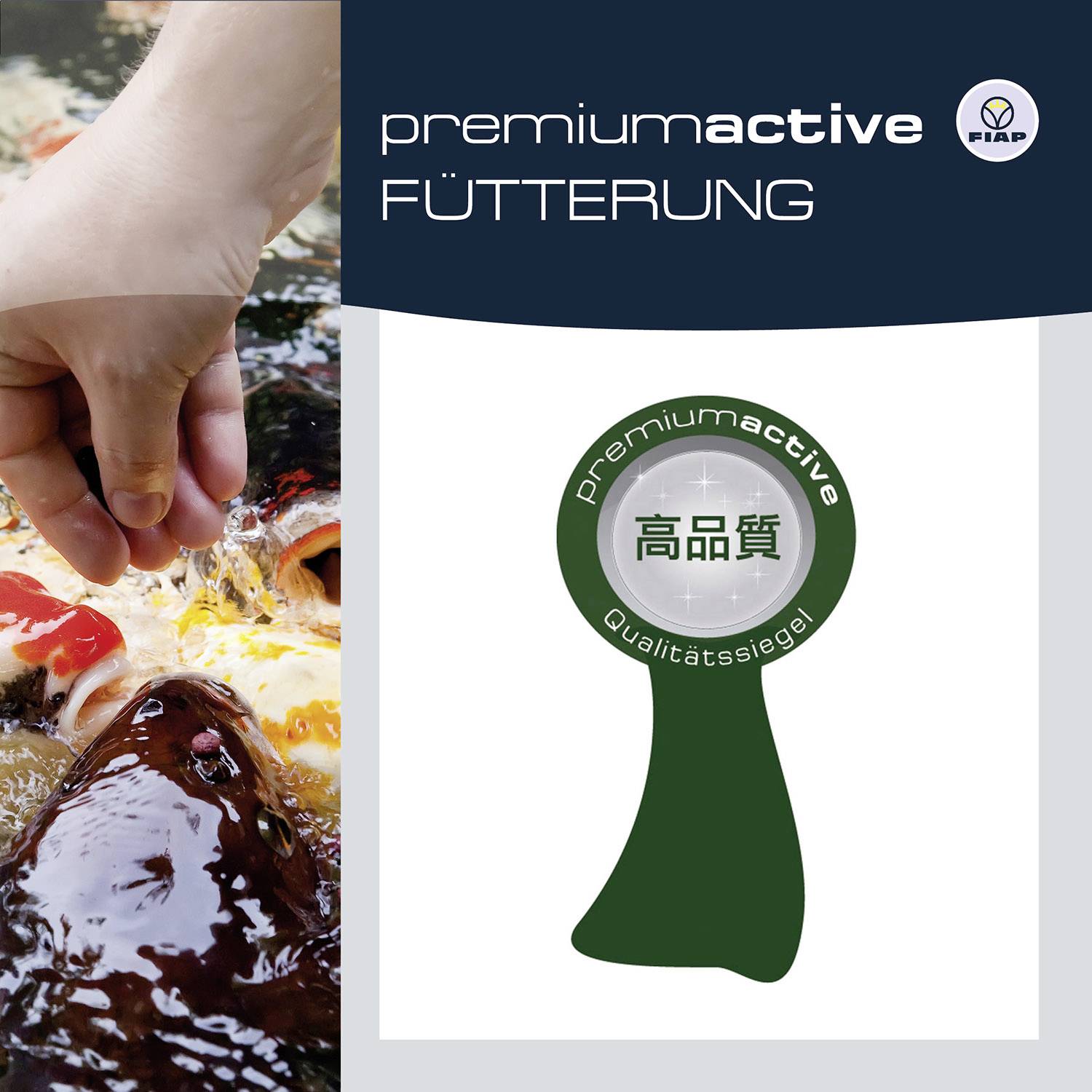 'Premiumactive Feeding'. Hand feeding carp. Quality seal with Chinese characters.